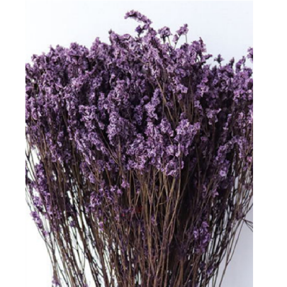 Лимониум крупноцветковый Purple сухоцвет оптом (1 пучок) фото