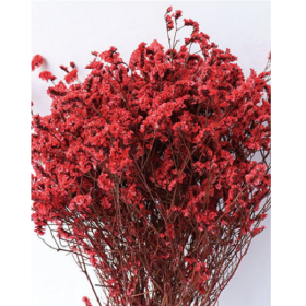 Лимониум крупноцветковый Red madder сухоцвет (1 пучок) фото