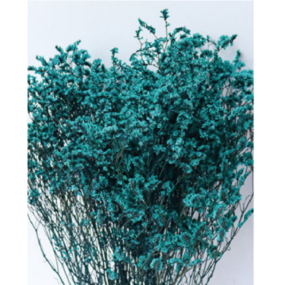 Лимониум крупноцветковый Tiffany Blue сухоцвет оптом (1 пучок) фото
