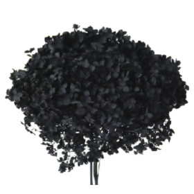 Гортензия Black стабилизированная оптом (1 штука) фото