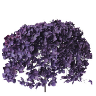 Гортензия Deep Violet стабилизированная оптом (1 ветка)