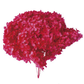 Гортензия Red стабилизированная оптом (1 ветка)