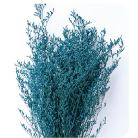 Лимониум Blue Green сухоцвет оптом (1 пучок)