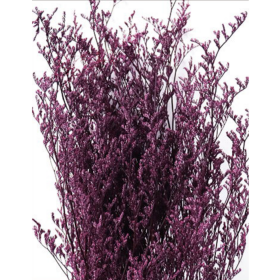 Лимониум Byzantine сухоцвет оптом (1 пучок)