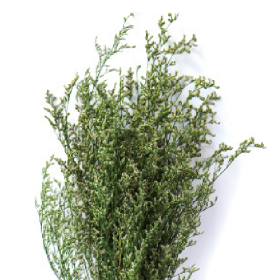 Лимониум Green сухоцвет оптом (1 пучок)