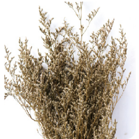 Лимониум Natural White сухоцвет оптом (1 пучок)