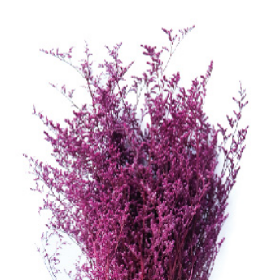 Лимониум Pink Purple сухоцвет оптом (1 пучок)