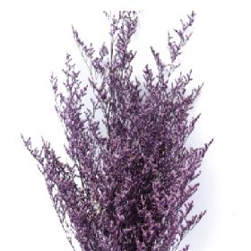 Лимониум Purple сухоцвет оптом (1 пучок)