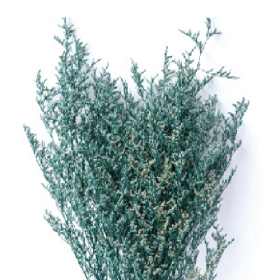 Лимониум Tiffany сухоцвет оптом (1 пучок)