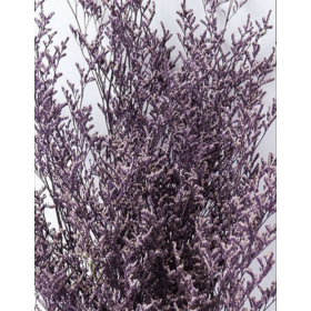 Лимониум Violet сухоцвет оптом (1 пучок)