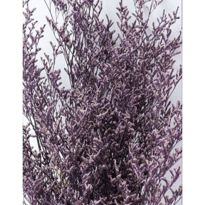Лимониум Bishop Violet сухоцвет оптом (1 пучок)