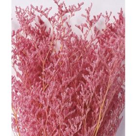 Лимониум Watermelon сухоцвет оптом (1 пучок)