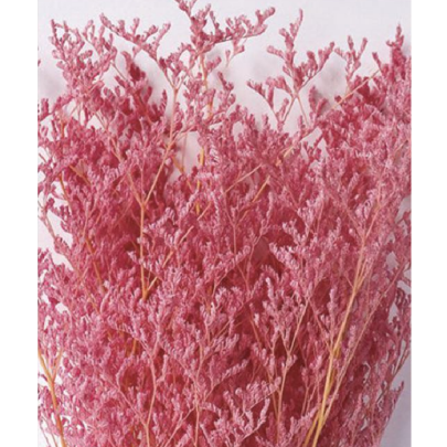 Лимониум Watermelon сухоцвет оптом (1 пучок)