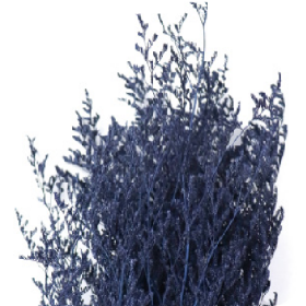 Лимониум Deep purple сухоцвет оптом (1 пучок)