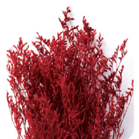 Лимониум Deep red сухоцвет оптом (1 пучок)