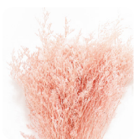 Лимониум Light Pink сухоцвет (1 пучок)
