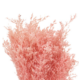 Лимониум Pink сухоцвет оптом (1 пучок)