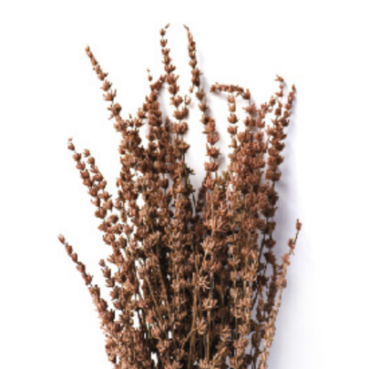 Лаванда Light Brown стабилизированная (1 пучок)