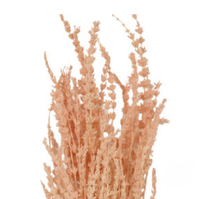 Лаванда Light Pink стабилизированная оптом (1 пучок)