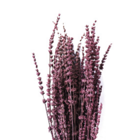 Лаванда Mulberry стабилизированная (1 пучок)