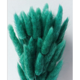 Лагурус Turquoise сухоцвет оптом (1 штука) фото