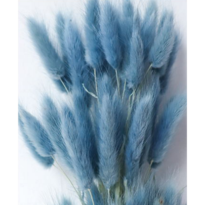 Лагурус Light Sky Blue сухоцвет оптом (1 штука) фото