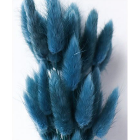 Лагурус Steel Blue сухоцвет оптом (1 штука) фото