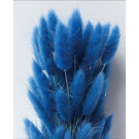 Лагурус Medium Blue сухоцвет оптом (1 штука) фото