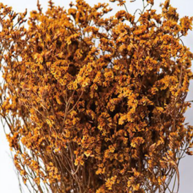 Лимониум крупноцветковый Tangerine сухоцвет (1 пучок) фото