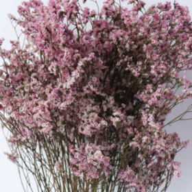 Лимониум крупноцветковый nymph thigh сухоцвет (1 пучок) фото