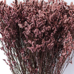 Лимониум крупноцветковый Watermelon сухоцвет оптом (1 пучок) фото