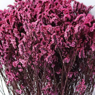 Лимониум крупноцветковый Magenta Fuchsia сухоцвет (1 пучок) фото