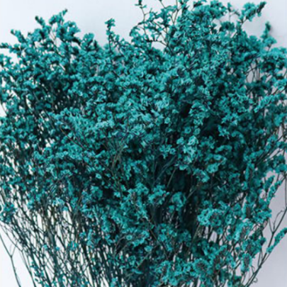 Лимониум крупноцветковый Tiffany Blue сухоцвет (1 пучок) фото