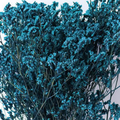 Лимониум крупноцветковый Klein сухоцвет оптом (1 пучок) фото