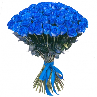 75 Синих Роз (70 см.) фото