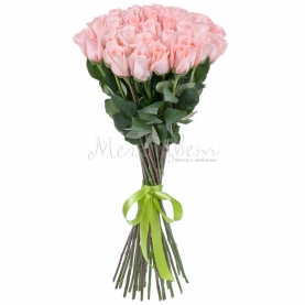 35 Светло-Розовых Роз (70 см.) фото