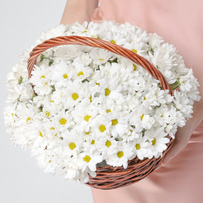 15 Белых Кустовых Хризантем Ромашка в корзине фото