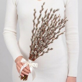 Букет "2 Пучка Вербы" фото