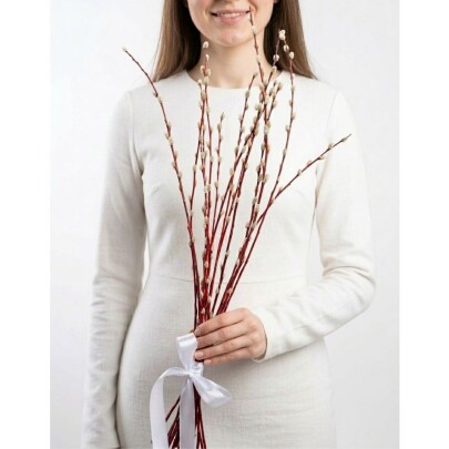  Букет из живых цветов "2 Пучка Вербы" фото