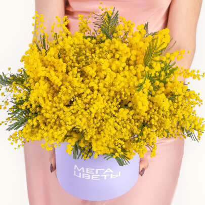 Букет "5 Пучков Мимозы" в коробке фото