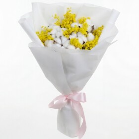 Букет дня "Хлопок и Мимоза" в упаковке фото
