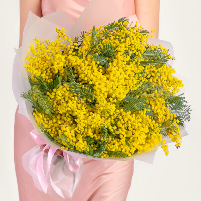 Букет "9 Пучков Мимозы" фото