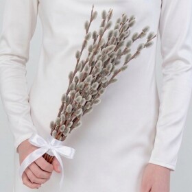 Букет "2 Пучка Вербы" фото