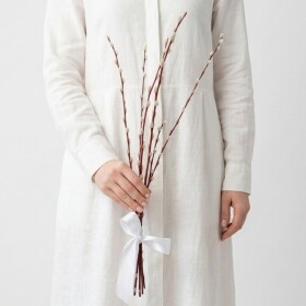 Букет из живых цветов "1 Пучок Вербы" фото