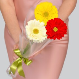 3 Разноцветные Герберы Микс в прозрачной пленке под ленту (Корпоративный)