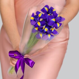 5 Синих Ирисов в прозрачной пленке под ленту (Корпоративный)