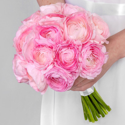 Букет невесты "15 Розовых Ранункулюсов" фото