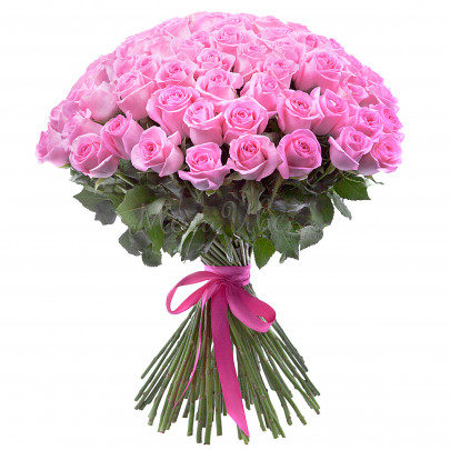 75 Ярко-Розовых Роз (60 см.) фото