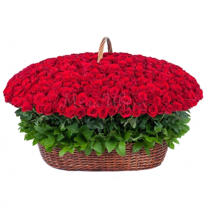 1001 Красная Роза (60 см.) в корзине фото