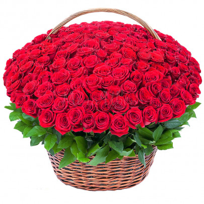 251 Красная Роза (50 см.) в корзине фото